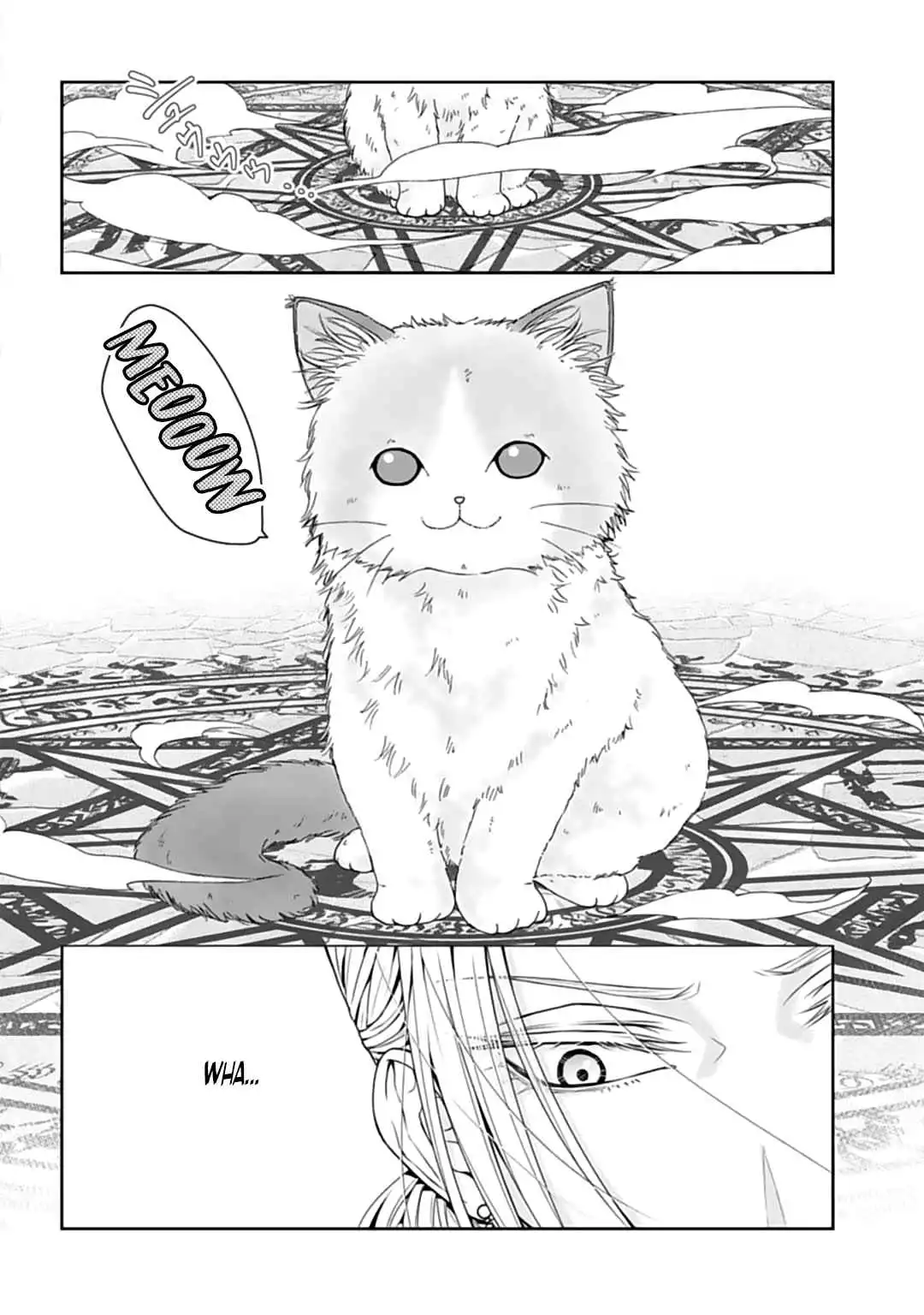 The Hero Summoned from Another World is a Cat Chapter 1 11